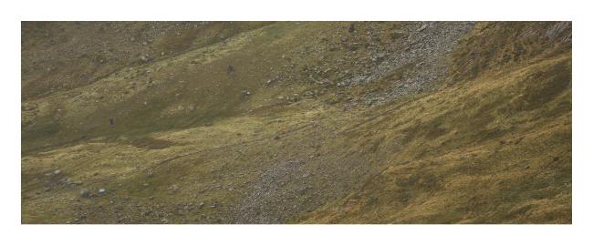 Farbbild mit weißem Rahmen im 65 zu 24 XPan Format. Zu sehen ist eine relativ karge Hochgebirgslandschaft mit gelbgrüner Wiese, Büschen und Geröll aber ohne Bäume. In der Mitte von links unten nach rechts oben verläuft ein kaum sichtbarer Pfad und in der Bildmitte befindet sich eine Person mit leuchtend orangener Jacke auf dem Pfad beim Aufstieg.