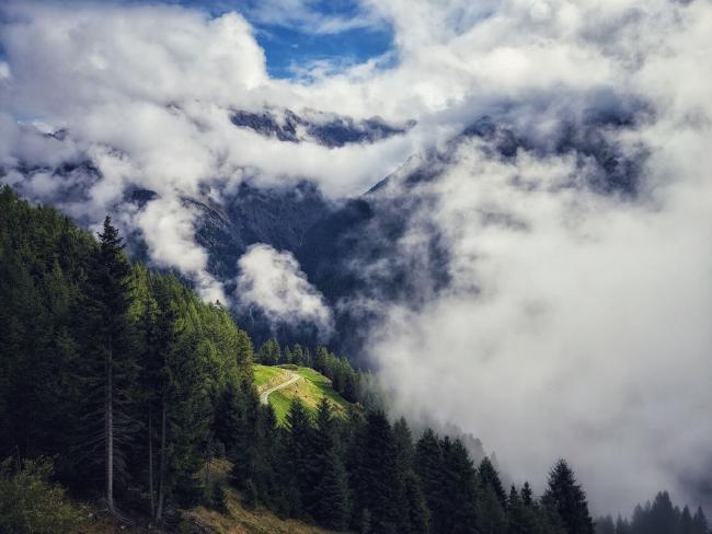 Blick über einen mit Nadelbäumen bewachsenen Hang. Zwischen den Bäumen liegen ein von der Sonne erhelltes Stück Weg. Drum herum ist alles von tiefen Wolken teilweise verdeckt. Im Hintergrund sieht man kahlere Berge durchscheinen. Im Himmel sieht man zwischen den Wolken etwas blau.