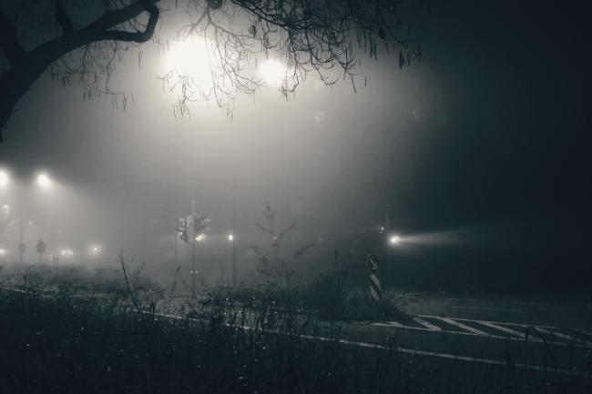 Schwarz-weiß Aufnahme im Landscape Format. Gerahmt von einem Baum den man nur in der Silhouette am oberen Bildrand sieht und Gras am unteren Bildrand hat man einen schrägen Blick auf eine Kreuzung mit einem Fußgänger-Überweg. Alles liegt im Nebel der nichts klar erscheinen lässt außer die Lichtkegel der Laternen und Ampelanlage 