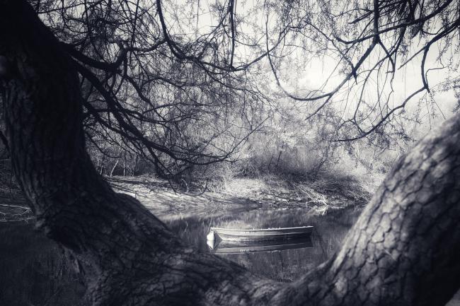 Schwarz-Weiß Bild von einem kleinen Boot das auf einer spiegelnden Wasseroberfläche leicht rechts der Mitte schwimmt. Diesmal ist der Blick aber durch einen Baum und eine Astgabelung aufgenommen, dessen Schuppige Rinde man besonders im rechten Bildbereicht sieht, wo sie angeleuchtet wird. Das gegenüberliegende Ufer ist von der Sonne so erhellt das es nach oben hin ausgebrannt ist und man nur die Äste vom Baum im Vordergrund als Konturen sieht.
