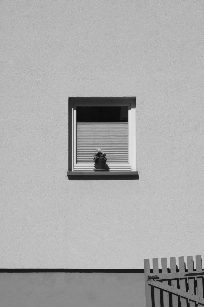 Schwarz-Weiß Bild im Portrait Format. Die Szene wird frontal beleuchtet und hat daher nur sehr wenige Schatten. Zu sehen ist mittig ein Fenster mit einem Rollo und einer Pflanze auf dem Fensterbrett von außen. Die darum liegende Hauswand ist sehr minimal und zeigt nur beim genaueren Hinschauen eine eigene Struktur. Am Fenster ist nur oben direkt unter der Oberkante und unter dem Fensterbrett ein Schatten zu sehen. Im ca. unteren Siebtel. wird die wand einmal unterbrochen und setzt nach einem Schatten in einem dunkleren Grau fort. In der linken unteren Ecke steht ist ein offenes, leicht schiefes Gartentor, das die sonstige Symmetrie bricht. Das Bild wirkt an sich sehr flach.