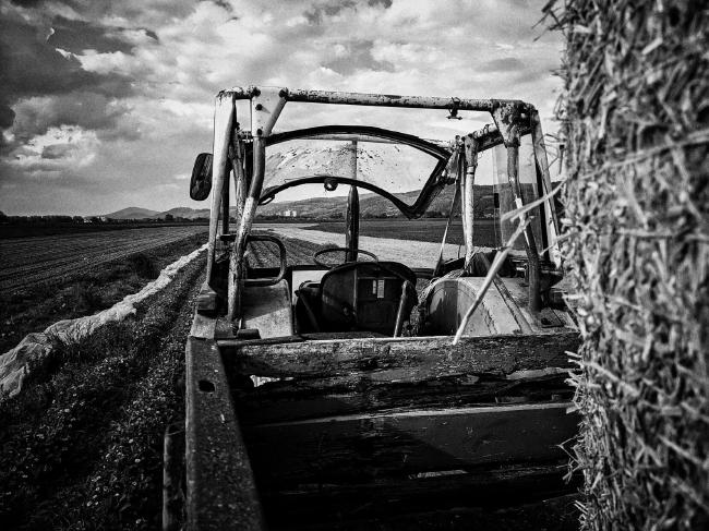 Blick über die Ladefläche eines Traktors. Am rechten Bildrand sieht man einen angeschnittenen Strohballen. Ansonsten geht der Blick durch das Führerhaus auf das Erdbeerfeld