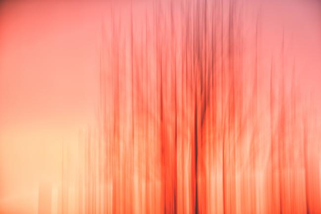 Abstraktes Bild mit vertikalen Linien in verschiedenen Gelb, Orange, Rot und dunklen rot-braun Tönen. 