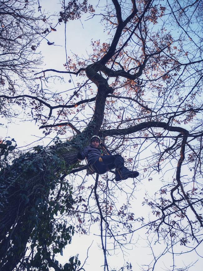 Leah hängt mit entsprechend Sicherung in einem Baum und friert sich die Finger und Zehen ab.