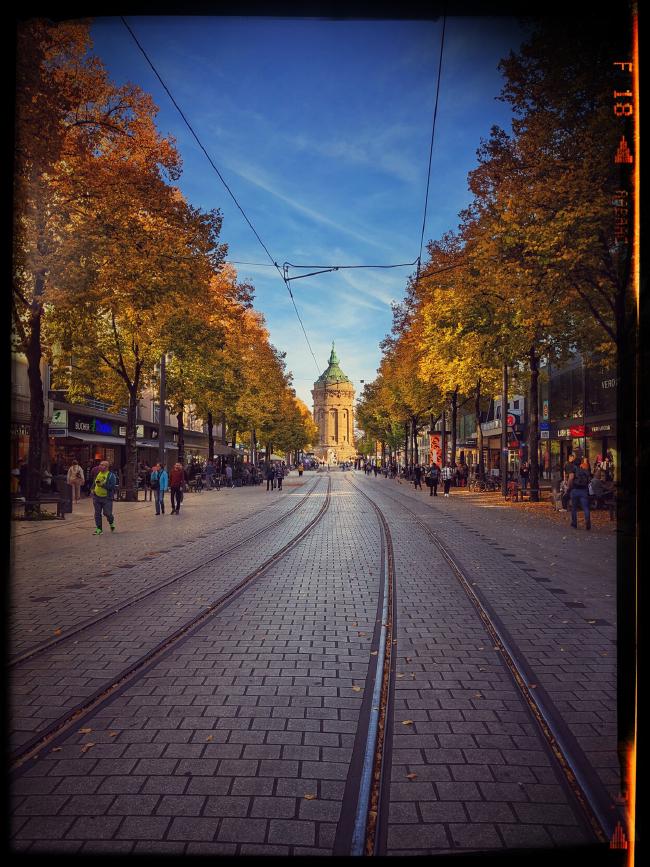Bild einer belebten Fußgängerzone. Im der Mitte verlaufen Schienen der Straßenbahn. Links und rechts stehen Bäume in herbstlichen gelb und orange Tönen. Am Ende der Fußgängerzone steht der Mannheimer Wasserturm. Der Himmel ist blau.