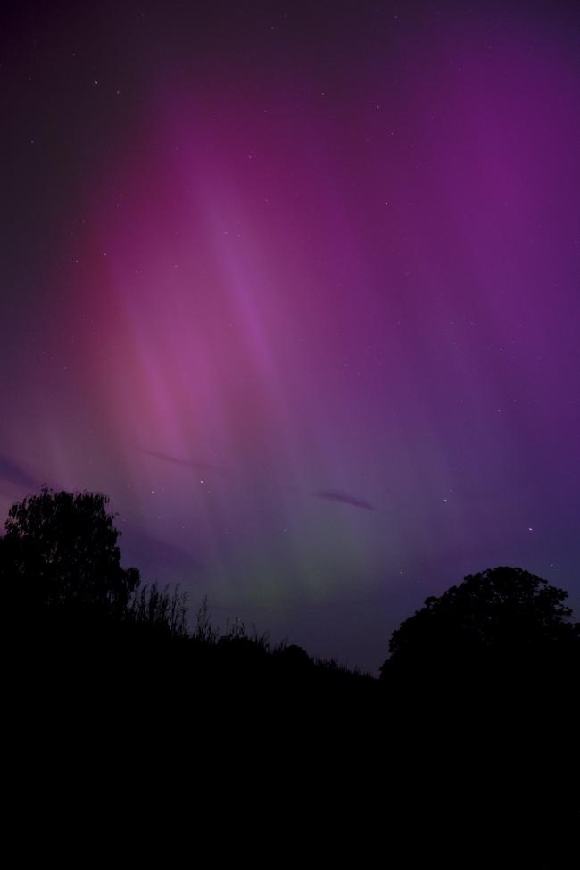 Hochtankaufnahme. Rote bis Lila Polarlichter mit einem Hauch grün und sichtbarer Struktur. Im Vordergrund ein paar Wiesen und Bäume.