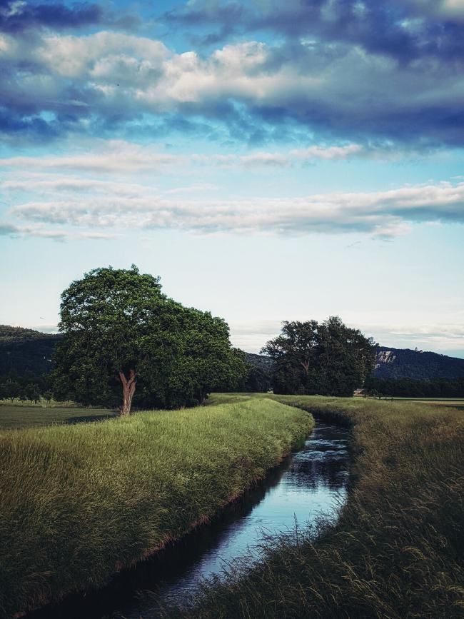 Biegung eines Flusses gesäumt von mit Gräsern bewachsenen Dämmen und Bäumen