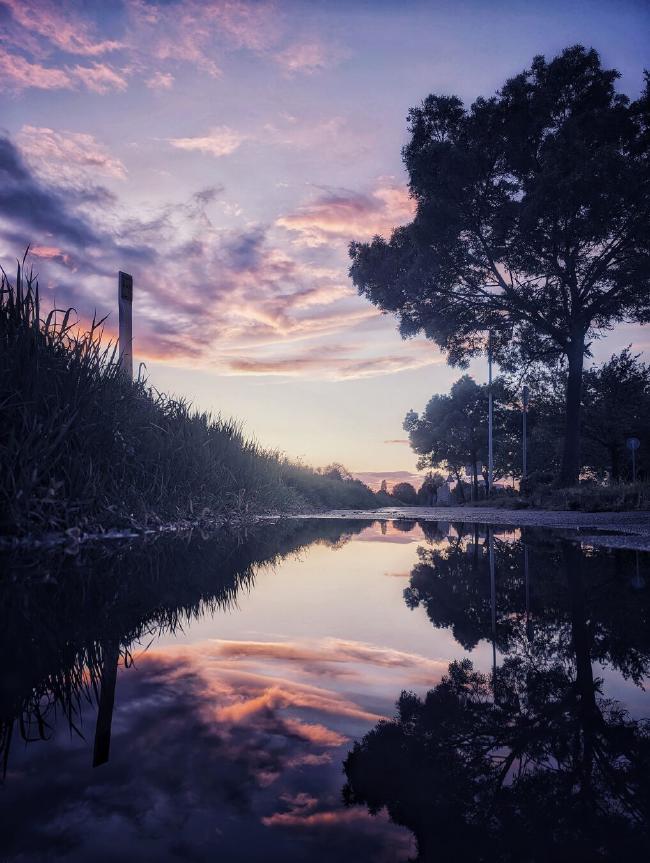 Hochkantaufnahme. Links ist ein kleiner Gras bewachsener Deich zu sehen, Rechts ein paar Bäume. Im Hintergrund einige rosa/graue Wolken die von der fast schon untergegangen Sonne angestrahlt werden. Auf dem Weg in der Mitte des Bildes ist eine Pfütze der sich all das etwas dunkler spiegelt.