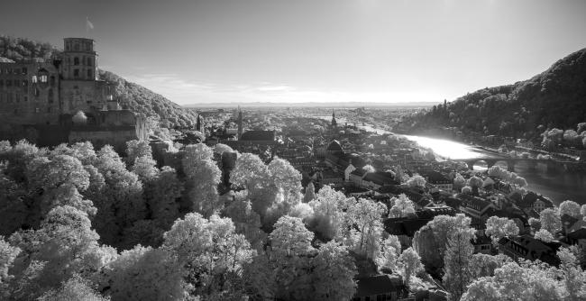 Schwarz-Weiß Panorama im Landscape Format. Zu sehen ist der Blick auf das Heidelberger Schloss links über die Bäume des Schlossgartens, die Altstadt von Heidelberg in der Bildmitte mit der Rheinebene im Hintergrund und dem Neckar rechts. Der Himmel ist fast wolkenlos. Die Bäume leuchten im Gegensatz zu den Gebäuden in einem sehr hellen Grau, da sie viel mehr Infrarotlicht reflektieren als die Gebäude.