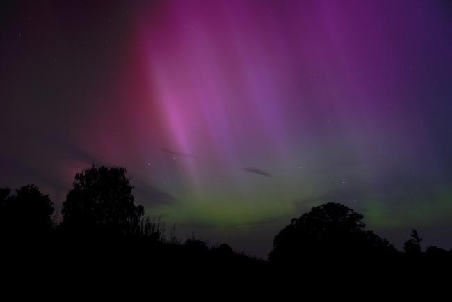 Rote bis Lila Polarlichter mit einem grün am unteren Rand und sichtbarer Struktur. Im Vordergrund ein paar Wiesen und Bäume.