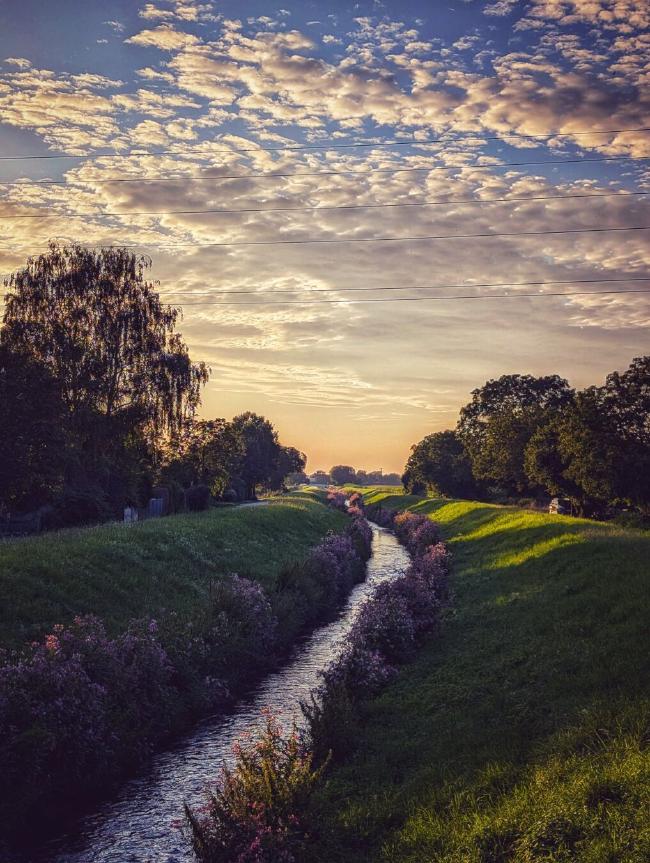 Bild eines Bachlaufs der Richtung Hintergrund läuft und von grünen Deichen begrenzt ist. Der Bach selbst ist nochmal von Pflanzen mit lila Blüten gesäumt. Links und rechts sind Bäume durch die die untergehende Sonne scheint. Am Himmel sind verschiedene von der untergehenden Sonne beleuchtete Wolken und etwas blau im Vordergrund