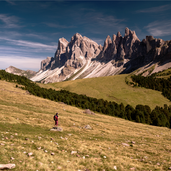 Quadratisches Farbbild. Eine Person in roter Wanderkleidung steht auf einem Stein und schaut in die Ferne. Die Person ist klein und leicht links unterhalb der Bildmitte. Sie Blickt in die Ferne auf die imposante Geislergruppe im Bin Hintergrund. Die Bildmitte wird durch ein Band Nadelbäume getrennt und der Himmel ist blau bis auf ein paar feine Woken. Die Wise um die Person und in deR Bildmitte ist Gelb/Grün. 