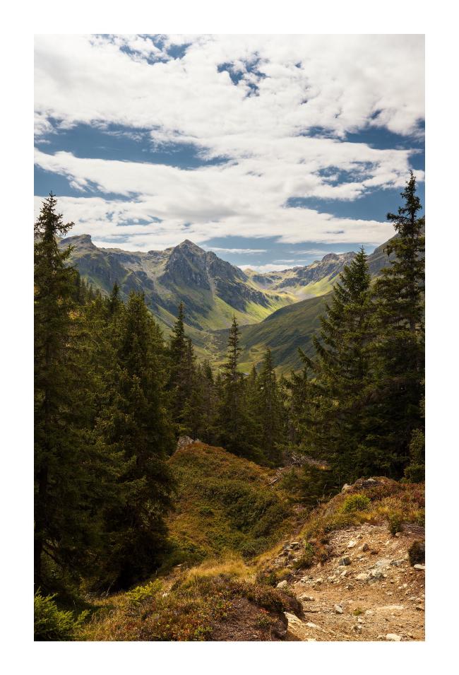 Farbbild im Hochkant-Format mit weißem Rahmen. Zu sehen ist der Blick von der Sonne beschienene hintere Novatal durch einige Nadelbäume im Vordergrund hindurch. Der Himmel ist blau und stärker bewölkt.