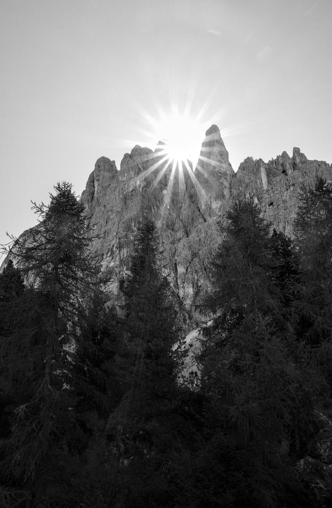 Schwarzweißbild im Portrait Format. Der Blick geht von unten an der Seite des Langkofel nach oben. Im Bild Vordergrund stehen einige Nadelbäume, dahinter folgt die Flanke des Langkoffels wo gerade so die Sonne in einem Stern über die Gipfel scheint. Dahinter befindet sich der wolkenlose Himmel.