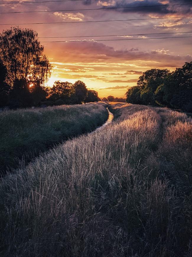 Ein Deich mit Gras bewachsen, Teile davon werden von der untergehenden Sonne angestrahlt. Links und rechts ist das Bild von Bäumen gesäumt die auch die direkte Söhne verdecken. Der Himmel strahlt in vielen Farben von gelb über rot und lila bis leicht blau. Dabei gibt es immer wieder dunklere Wolken am Himmel. Im oberen Teil des Bildes sieht man leider ein paar Stromleitungen