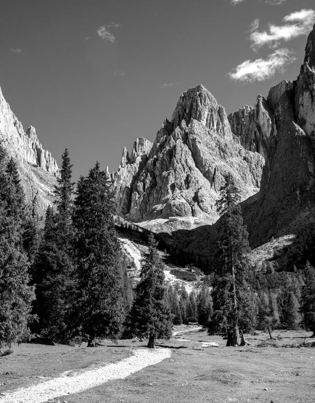 Schwarzweißbild im Portrait Format. Von der linken unteren Bildecke schlängelt sich ein Weg aus hellem Kies durch einige Nadelbäume und bewegt sich dann weiter in Richtung Bildmitte, bleibt aber im unteren Drittel. Im oberen Drittel ragt dann der Pollice in der Mitte des Langkofelmassivs vor uns auf. In der tatsächlichen Bildmitte ist dann ganz klein die Langkofelhütte zu erkennen. Der Himmel ist bis auf ein paar Wolkenfetzen rechts oben wolkenfrei.