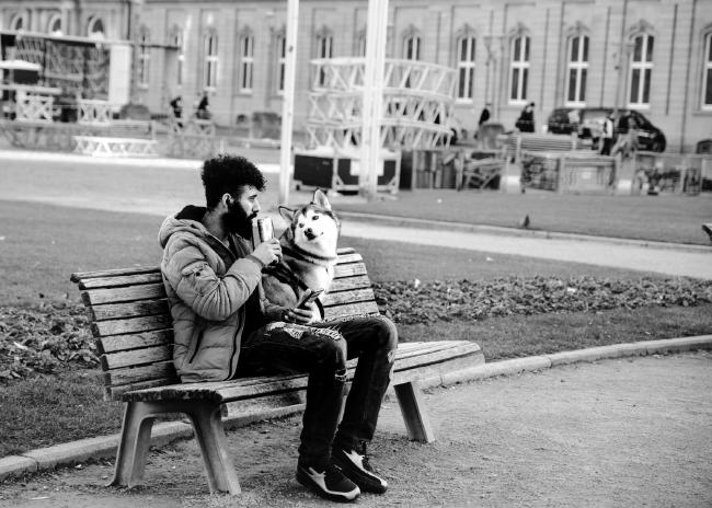 Ein Mann und ein Husky gucken sich gegenseitig an während sie auf einer Bank sitzen. Der Mann trinkt aus einer Dose und hat ein Handy in der Hand.