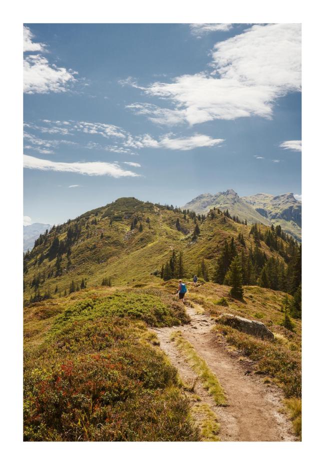 Farbbild im Hochkant-Format mit weißem Rahmen. Zu sehen ist ein Weg auf einem Grat durch Blaubeersträuche und Heidekraut hindurch. Ab und zu sieht man noch ein paar Nadelbäume links und rechts. Am Ende sieht man den Gantakopf und dahinter im Hintergrund Matrisella und Versettla. Darüber ein blauer Himmel mit ein paar Wolken.