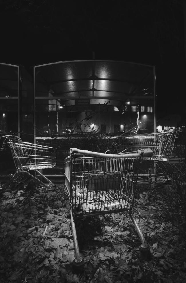 Schwarzweißbild im Portraitformat. Drei Einkaufswegen stehen mit ihren Vorderseiten in einem Dreieck zueinander in einem Haufen Blätter vom letzten Herbst. Dazwischen liegt auch einiges an Müll. Der vordere Wagen enthält sogar einige Blätter. Zwischen den Einkaufswägen ist ein Busch noch ohne Blätter der aber kaum zu sehen ist, genau wie rechts im Bild. Dahinter sieht man zwei Überdachungen von weiteren Einkaufswägen die aber von diesen drei getrennt sind. Außerdem sieht man ein paar Lichter und Reflexionen vom Supermarkt dahinter. Die drei Einkaufswägen werden vom Licht im Bilder hervorgehoben wodurch diese etwas heller sind als der Rest des Bildes. Der vordere Einkaufswagen hat eine ziemlich demolierte und verbogene Haltestange und der Rechts hat gar keine mehr, da diese im Wagen selbst liegt. Das ganze wirkt eher düster und geheimnisvoll.
