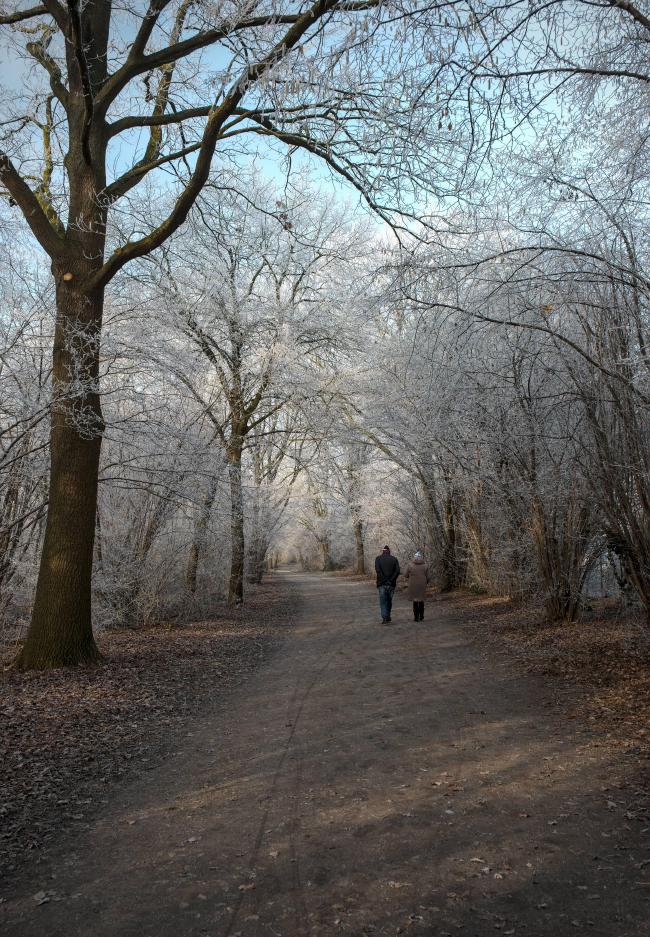 Farbbild im Portrait Format. Man sieht Weg einen der komplett umrahmt ist von Bäumen deren Äste und zweige einen feinen weißen Schneeüberzug haben. Man sieht auch ein bisschen warmes Sonnenlicht von Links. Richtung Bildmitte sieht man zwei Personen mit schwarzen und braunen Kleidern. 