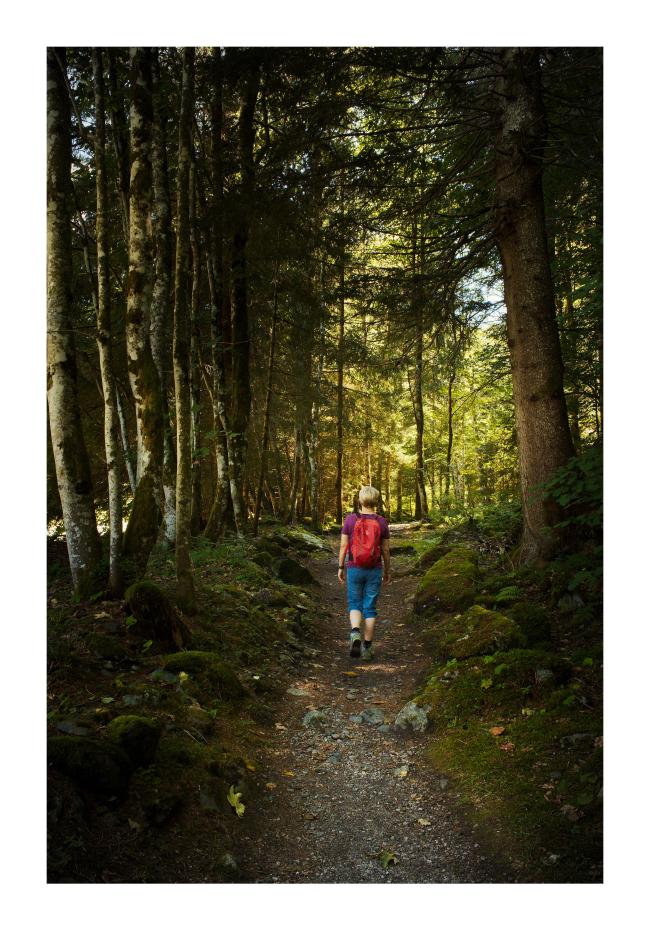 Farbbild im Hochkantformat mit weißem Rahmen. Zu sehen ist ein schmaler Wald-Wanderweg mit ein paar helleren Kieseln im unteren Bildbereich. Dieser ist gesäumt von Moos bewachsenen Steinen und die wiederum von Birken links und einem einzelnen Nadelbaum rechts. In der Mitte des Wegs läuft eine Frau mit kurzen blonden Haaren, blauer Hose und einem roten Rucksack, auf einen helleren und grüneren Bereich im Bild zu wo die Sonne mehr durch die Bäume kommt. 