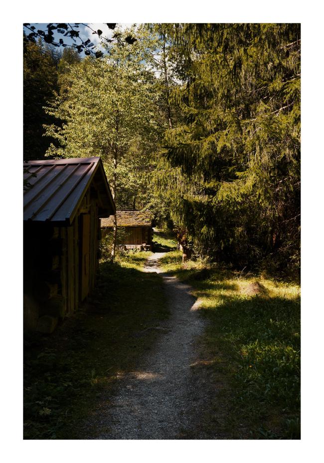 Farbbild im Hochkantformat mit weißem Rahmen. Zu sehen ist ein Weg aus hellen Kieselsteinen zwischen zwei kleine Wiesenflächen und Bäumen der Teilweise von der Sonne angestrahlt wird. Links davon sind zwei kleine Hütten.
