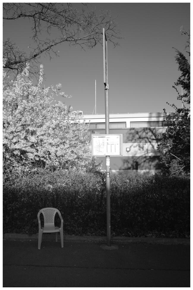 A little chair stands on a sidewalk beside a bus stop sign the upper halve of the black and white image in portrait format ist iluminated by the rising sun, the lower part with the little chair is more in the shadows. On the sides you can see some blooming bushes and trees and in the background is a building.