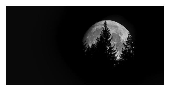 Schwarz-Weiß Bild im Querformat mit weißem Rahmen. Das Bild ist ganz schwarz. Einzig leicht rechts der Mitte sieht man den Mond mit seiner Struktur hinter ein paar Nadelbäumen die als Silhouette vorm Mond zu sehen sind.