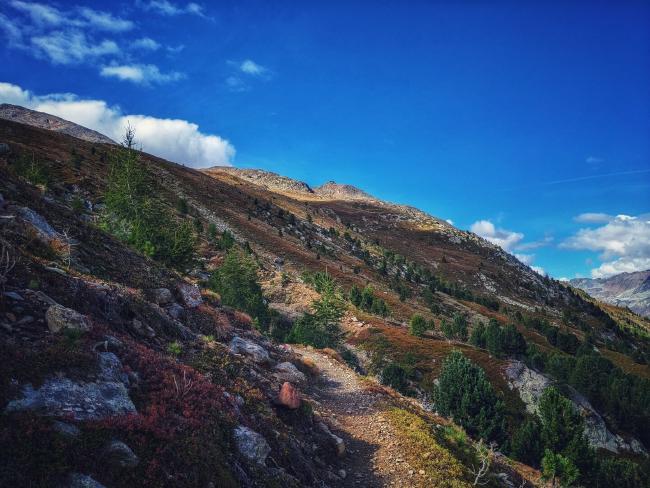 Weg zum in der Sonne gelegenen, aber noch weit entfernten Brunnenkogelhaus. Der Himmel ist strahlend blau mit nur wenigen Wolken und der Weg ist von kleinen Bäumen, bunten Sträuchern und Steinen gesäumt.