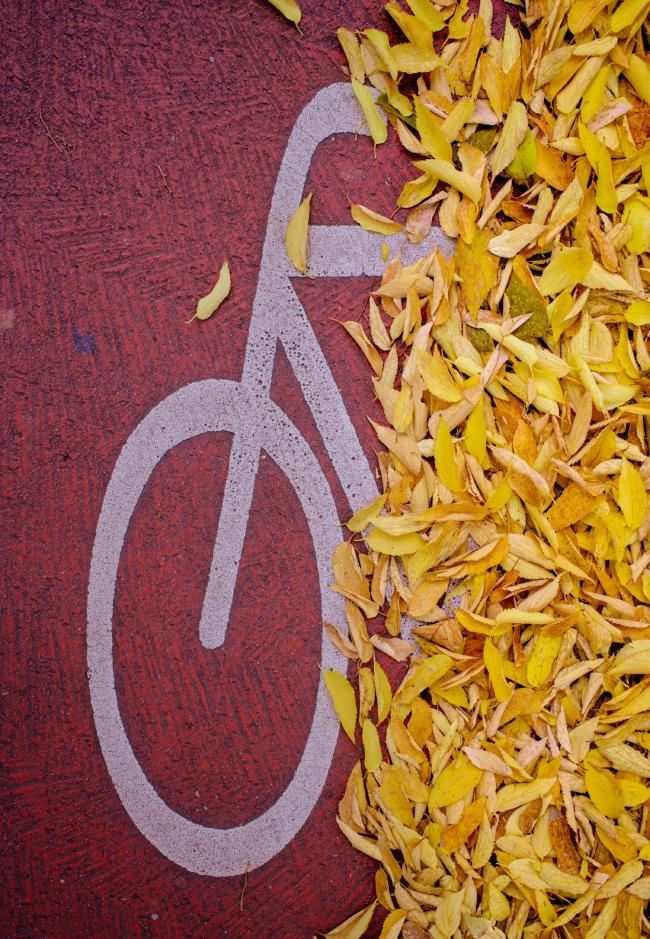 Bild von oben auf einen roten Radweg. Darauf ist mittig der vordere Teil des üblichen Fahrrad Symbols zu erkennen das leicht gedrungen wirkt. Die hintere Hälfte ist durch gelbe, längliche Blätter verdeckt.