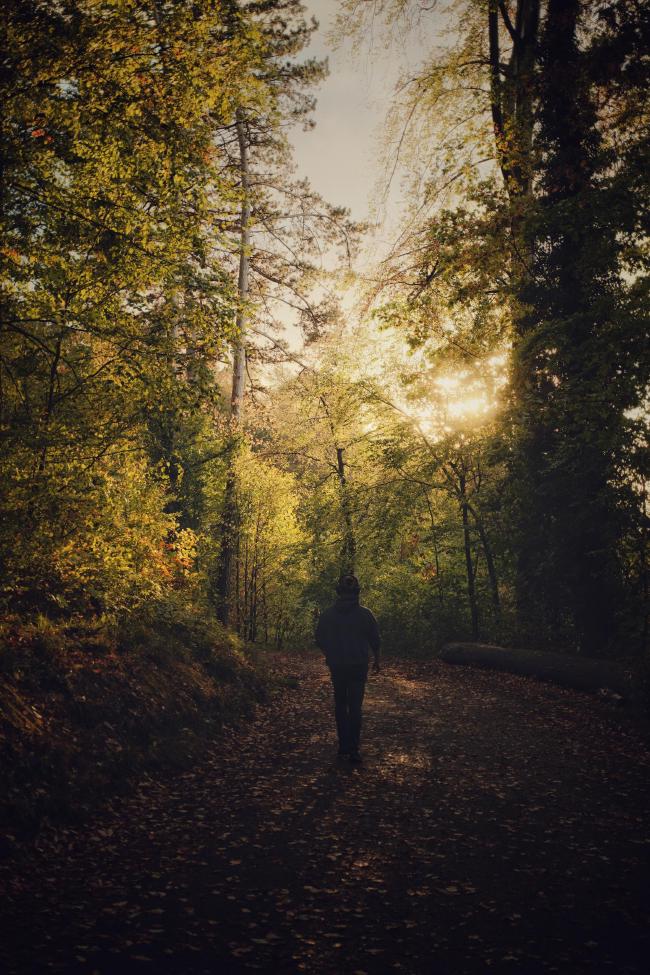 Ein Mensch läuft auf einem  dunklen Waldweg mit Herbstlaub und zwischen den Blättern scheint die Sonne durch.