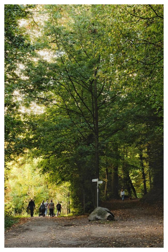 Farbbild im Hochkant Format mit weißem Rahmen. Blick auf eine Weggabelung im Wald. Diese Ist aufgeteilt durch einen großen Stein und ein Schild in der Mitte. Der eine weg links ist eher hell, dort laufen viele Menschen der Weg rechts ist eher dunkel und da läuft nur eine Person.