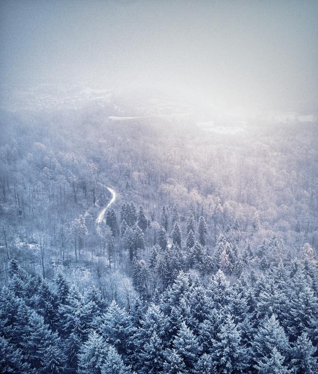 Bild über einen Mischwald der mit Schnee bepudert ist. In der Ferne sind größere weiße Flächen von Feldern und einige Dörfer im Dunst zu erkennen.