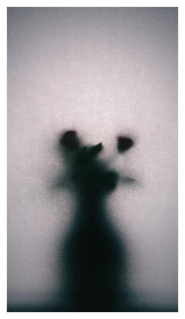 Farbbild in einem schmaleren Portrait Format mit weißem Rand. Das Bild ist sehr monochrom, wenn auch nicht einfarbig. Zu sehen ist eine rundliche sich dann verjüngende Vase mit einigen Blumen die unscharf hinter einem Stück Seidenpapier zu sehen ist. Das Bild hat sehr viel Rauschen.