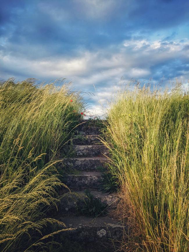 Treppe die einen Hang hoch führt. Man sieht aber nicht wohin außer einer Kette am Ende. Die Treppe ist von hohem Gras gesäumt.