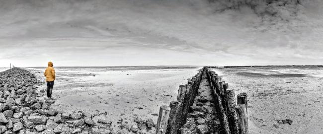 Schwarz-Weiß Panorama. Leicht recht der Mitte findet sich ein  Doppelreihe aus Baumstämmen die bis zum Horizon verläuft wo sie leicht abknickt. Links und Rechts daneben sieht man das Watt der Nordsee bei Ebbe. Ganz Links sieht man die Steinbefestigung einer Fahrrinne. Daneben steht eine von der Kamera abgewendete Person in leuchtend gelber Regenjacke und schaut in die Ferne.