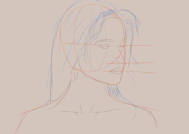 3/4 Ansicht einer Person. Es sind Haare und verschiedene Abschnitte des Kopfes farblich hervorgehoben.