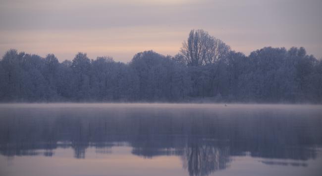 Winterlicher See mit vom Reif weißen Bäumen. Der See dampft leicht und der Himmel ist grau bedeckt wenn auch mit einigen Orangetönen vom Sonnenuntergang. Auf dem Wasser befindet sich eine leichte Dunstschicht.