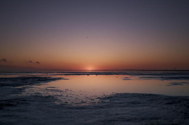 Farbbild im Landscape Format. Zu sehen ist ein Sonnenuntergang hinter dem Wattenmeer. Im Vordergrund spiegelt sich der orangene Himmel in einer großen Pfütze. Daneben und davor sieht man das dunkle Watt schon im Schatten. Die Sonne schneidet gerade so den Horizont und darüber erstreckt sich der Himmel von rot, über orange, gelb, violett nach blau. Etwa in der Mitte der oberen Hälfte über der Mittigen sonne fliegt ein einzelner Vogel in den Sonnenuntergang.