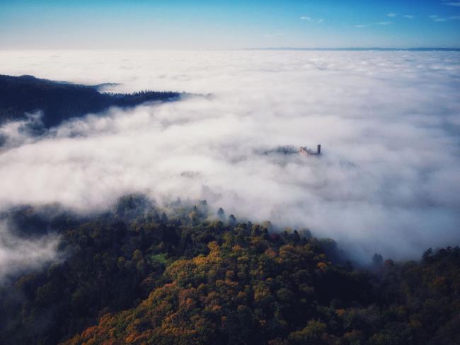 Eine Burg am Rande des Reingrabens sticht leicht durch das Nebelmeer. Im Vordergrund ist ein herbstlicher Wald zu sehen.