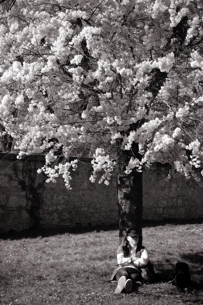 Schwarz-Weiß Bild im Portrait Format. Ein Kischbaum der nicht ganz zu sehen ist und vor einer Mauer steht. Daran angelehnt sitzt ein Mensch mit einer ins Gesicht gezogenen Baseball Mütze und döst.
