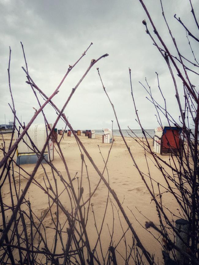 Strand mit Strandkörben. Im Hintergrund sieht man noch etwas Meer. Im Vordergrund sind Zweige 