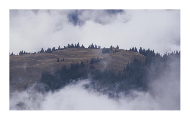 Farbbild im Querformat mit weißem Rahmen. Zu sehen ist eine von Wolken gerahmte Hochebene mit viel gelb-grünen Gras und Buschwerk und ein paar Bäumen am Rand. Die Ebene war einige Kilometer entfernt.