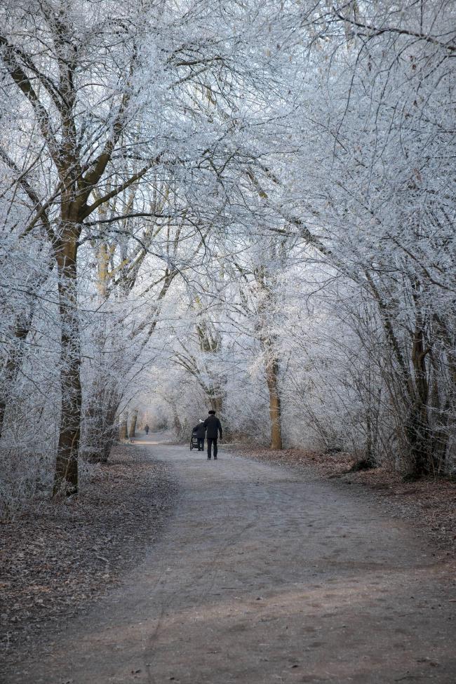 Farbbild im Portrait Format. Man sieht Weg einen der komplett umrahmt ist von Bäumen deren Äste und zweige einen feinen weißen Schneeüberzug haben. Man sieht auch ein bisschen warmes Sonnenlicht von Links. Richtung Bildmitte sieht man zwei Personen mit schwarzen Kleidern. Dieses Bild ist etwas mehr gezoomt als das vorherige. Vomit die schneeüberzogenen Äste mehr zu sehen sind.