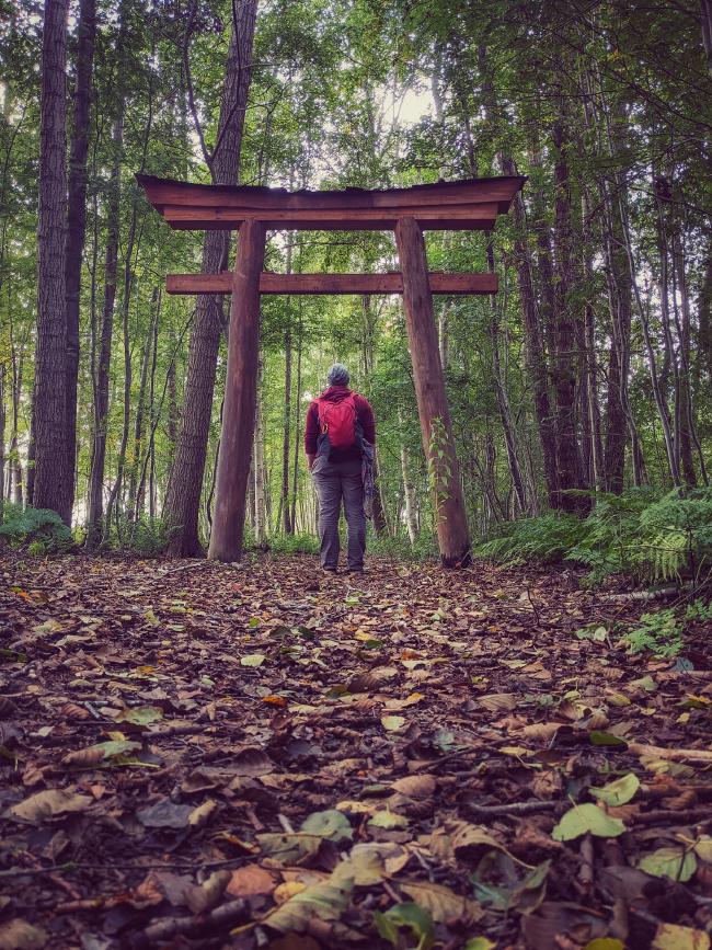 Eine Person mit rotem Rucksack steht in einem herbstlichen Wald zwischen den Streben einer Holzkonstruktion 