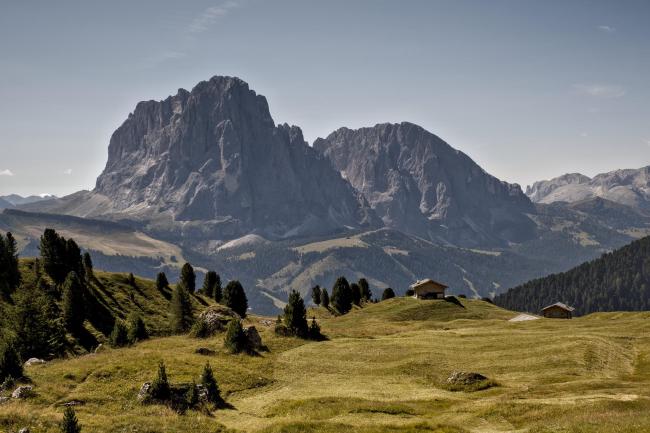 Farbbild im Landscape Format. Wir blicken über eine gelb-grüne Bergwiese die in teilen in sichtbaren Bahnen frisch gemäht wurde. Links davon sieht man ein einzelne paar Nadelbäume und Felsen in der Wiese. Leicht rechts der Mitte und rechts sieht man zwei kleine Holzhütten. Dahinter erstreckt sich auf der anderen Bergseite das Langkofelmassiv majestätisch in die Höhe.