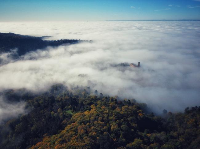 Luftaufnahme einer Drohne die über einem herbstlichen Wald am Rande einer Mittelgebirgskette fliegt. Der Blick geht in die von Nebel geflutete Ebene. In der Bild Mitte schaut eine Burgruine aus dem Nebel.