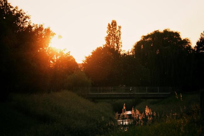 Farbbild im Landscape Format. Darauf zu sehen ist ein Bachlauf mit ein paar Schilfgräsern im Vordergrund. Im Mittelgrund ist eine Brücke zu erkennen auf der gerade ein Kind mit einem Fahrrad fährt. Dahinter sind Büsche und Bäume als Silhouette zu sehen und alles hat einen leichten orangenen Glow von der untergehenden Sonne die etwa auf der Hälfte der rechten Seite strahlt. In der Bildmitte sieht man außerdem ein paar Mücken in der Sonne fliegen. Das Bild ist im Vordergrund eher dunkel und der Himmel weiß-orange überstrahlt. 