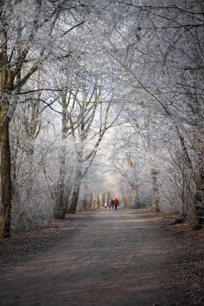 Farbbild im Portrait Format. Man sieht einen Weg der komplett umrahmt ist von Bäumen deren Äste und zweige einen feinen weißen Schneeüberzug haben. Man sieht auch ein bisschen warmes Sonnenlicht von Links. Auf dem Weg in Richtung Bildmitte sind ein paar Personen zu sehen. Eine davon trägt eine in der Szene sehr auffällige rote Jacke.