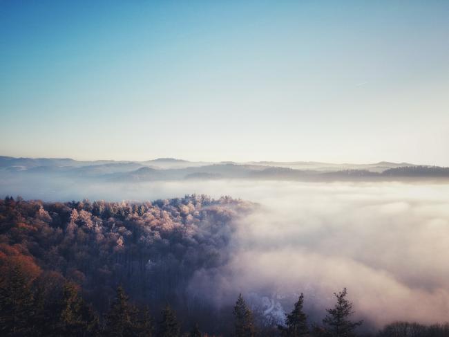 Blick über den Odenwald mit vielen Nebelschwaden in den Senken. Einige Bäume im Vordergrund sind von Frost überzogen. Alles im Licht der untergehenden Sonne 